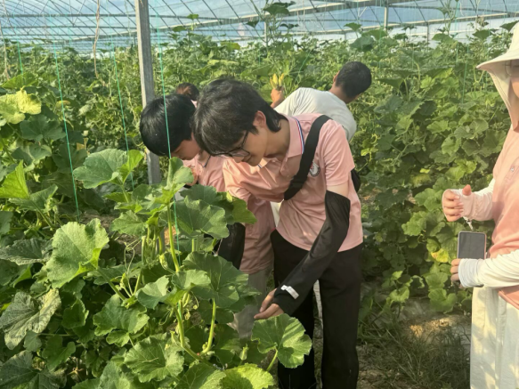 从红色沃土到振兴田野 leyu乐鱼在线官网学子开展暑期社会实践_fororder_图片7